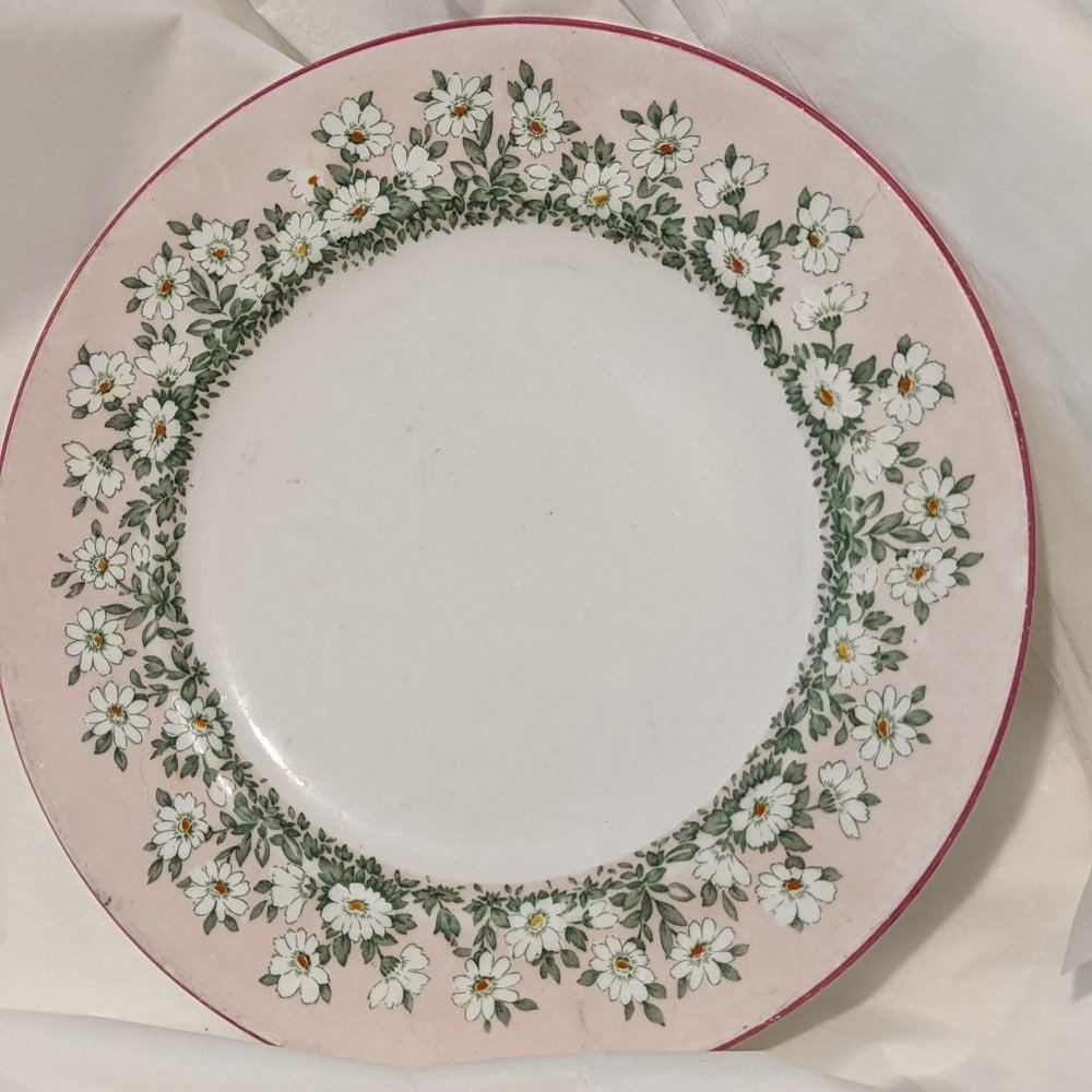 Antique Royal Staffordshire England Hand Painted Porcelain Plate Daises Flowers